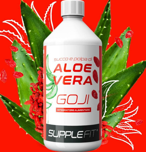 INTB009 - Saft und Fruchtfleisch der ALOE VERA mit GOJI – 1 L